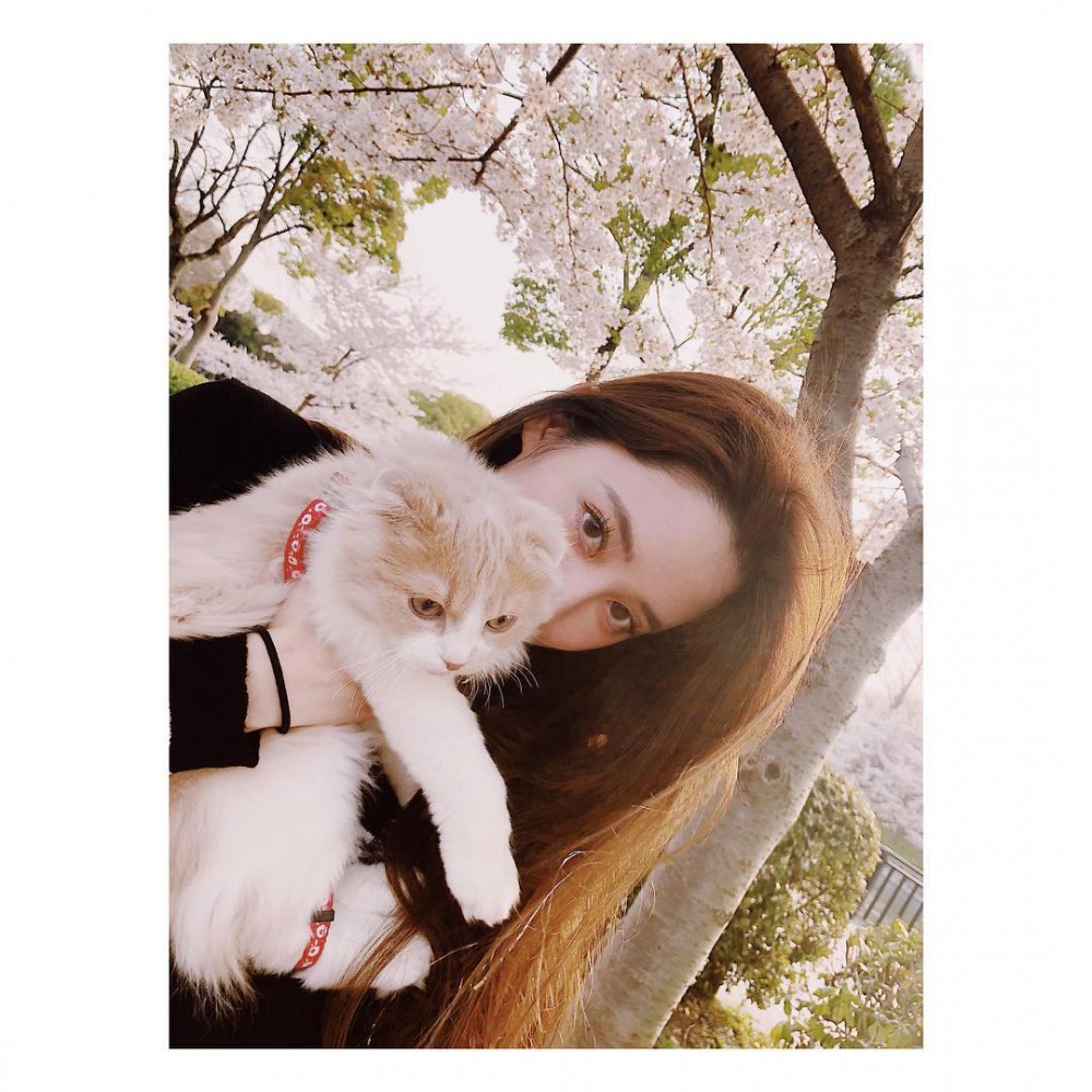 niniouyang_29737126_2045772008971657_1201689999259467776_n