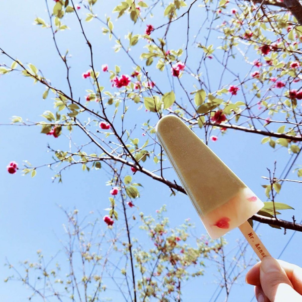 timeline_20180401_211138