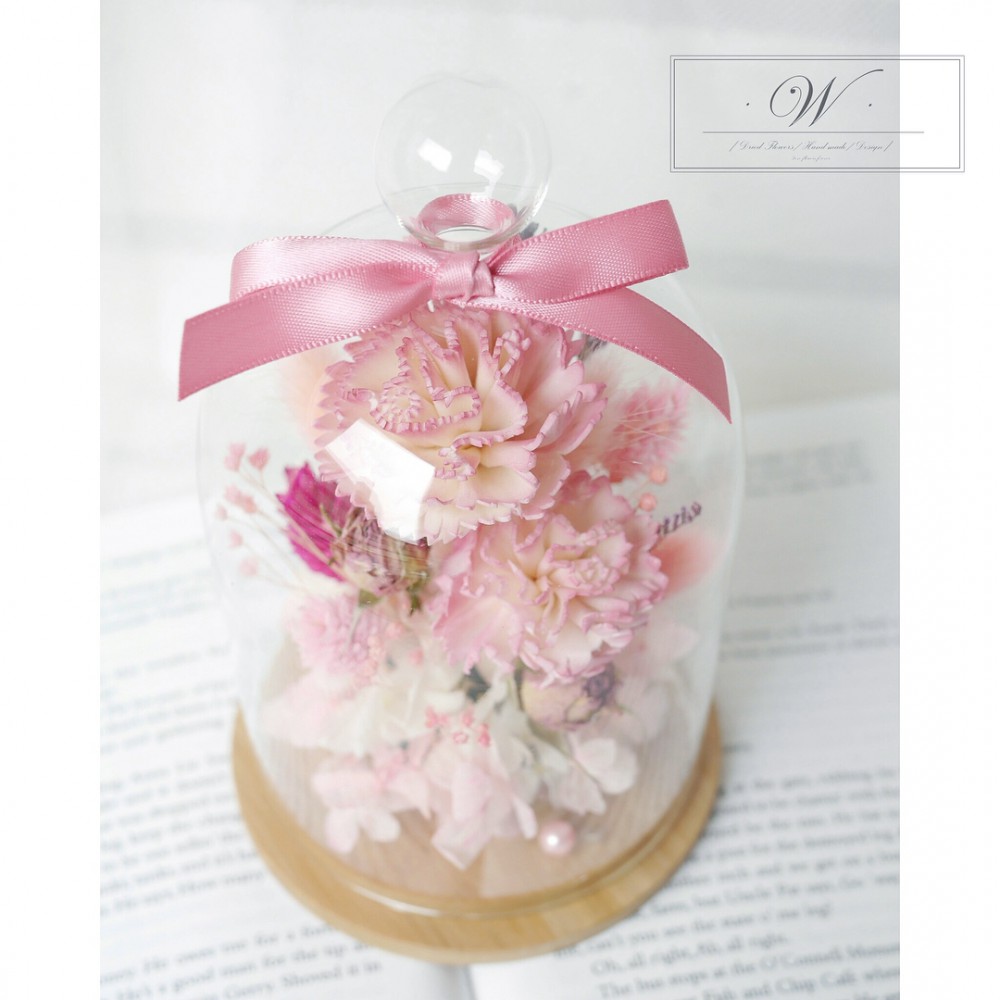 w.j_f.d_29416914_165417377451396_5172576732598763520_n