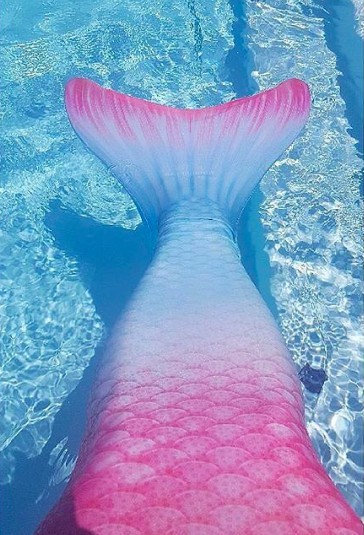 螢幕快照 2018-05-11 上午10.29.41