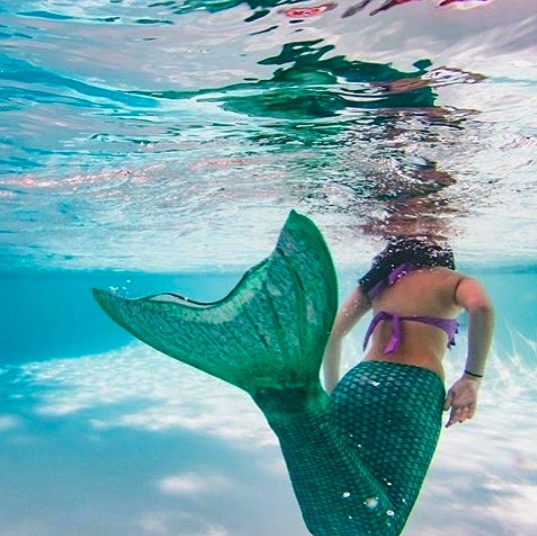 螢幕快照 2018-05-11 上午10.30.35