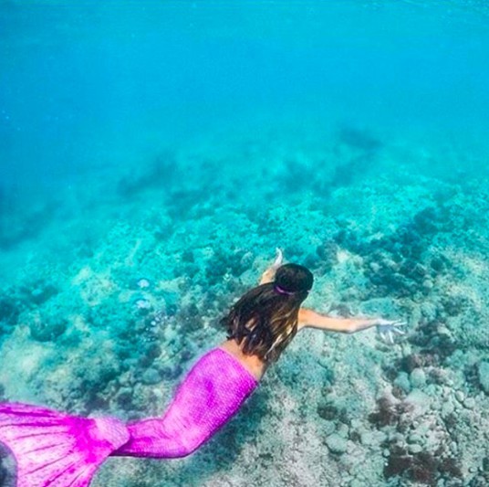 螢幕快照 2018-05-11 上午10.35.44