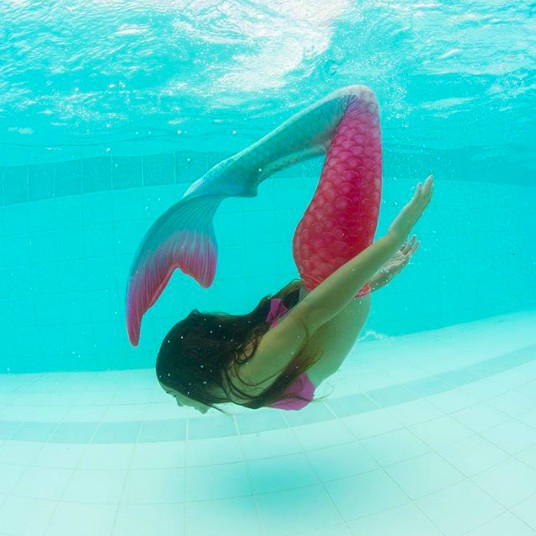 螢幕快照 2018-05-11 上午10.52.15