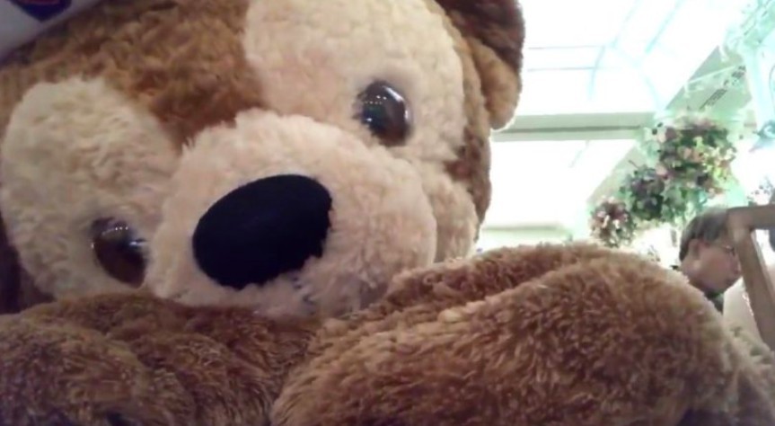 螢幕快照 2018-05-14 上午11.37.41