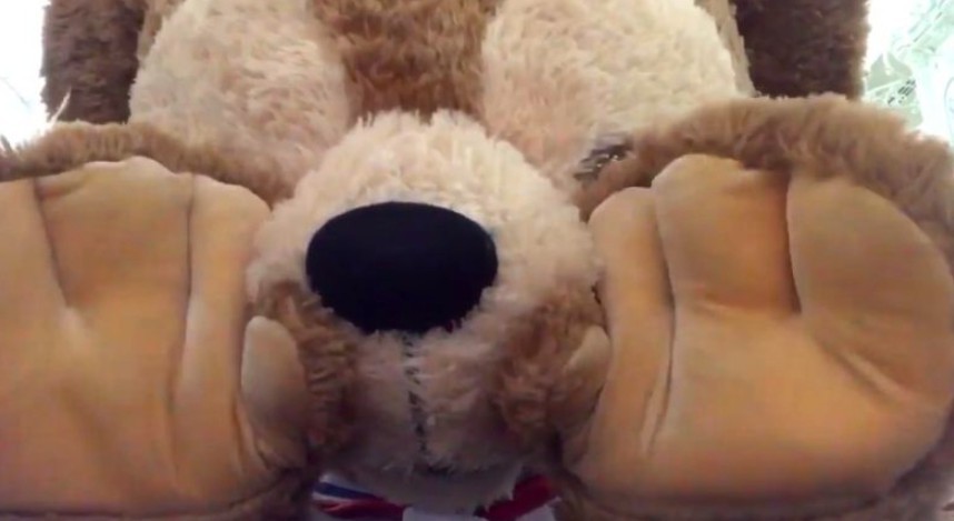 螢幕快照 2018-05-14 上午11.37.53