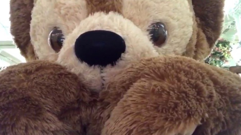 螢幕快照 2018-05-14 上午11.38.00