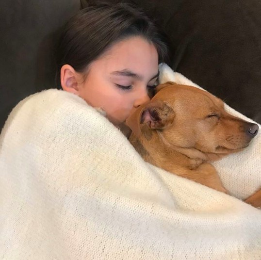 螢幕快照 2018-05-15 下午1.32.57