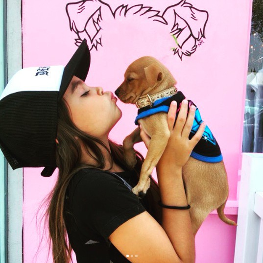 螢幕快照 2018-05-15 下午1.34.18