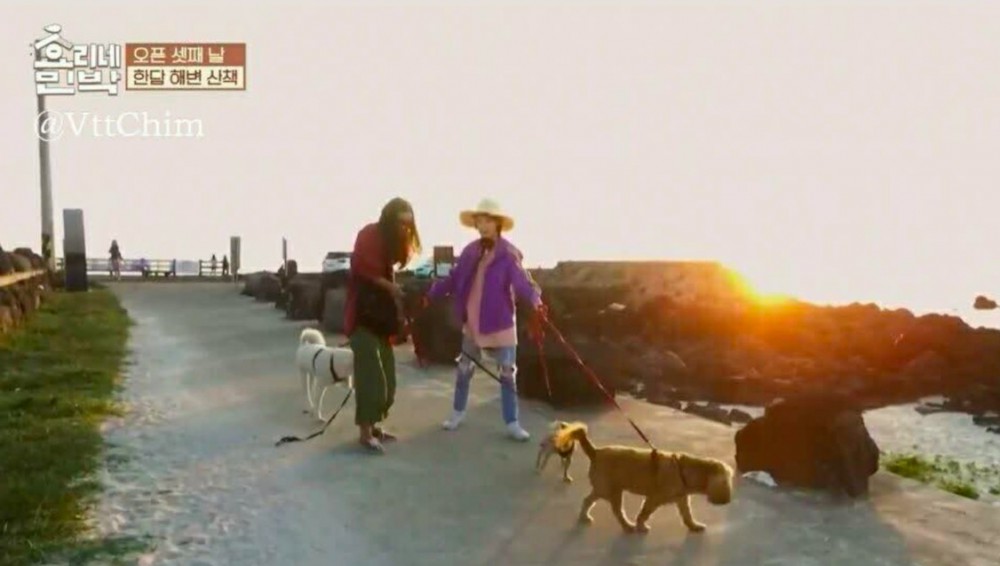 螢幕快照 2018-05-17 下午4.11.54