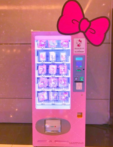 螢幕快照 2018-05-20 上午10.18.25