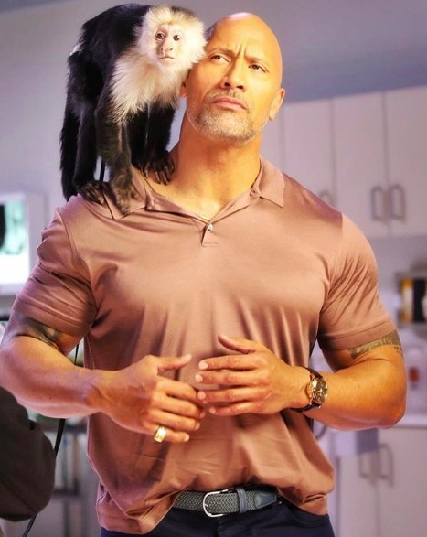 螢幕快照 2018-05-23 上午10.45.21