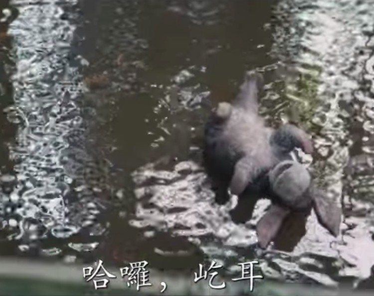 螢幕快照 2018-05-28 上午10.51.24