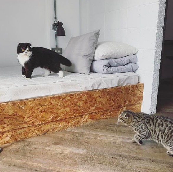 螢幕快照 2018-05-28 下午1.30.05