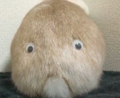 螢幕快照 2018-05-28 下午6.48.47