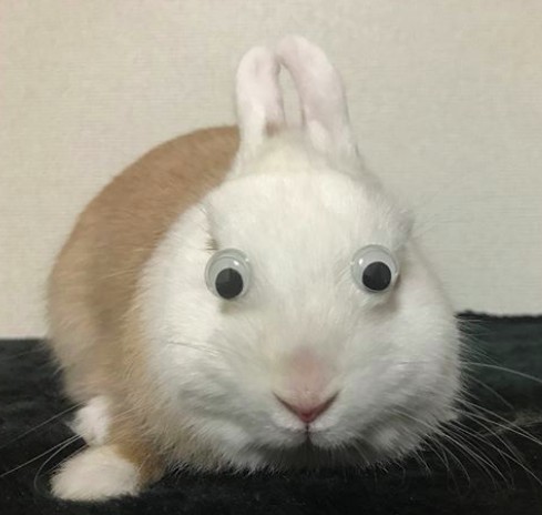 螢幕快照 2018-05-28 下午6.50.00