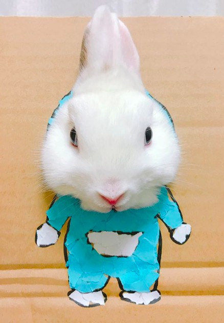 螢幕快照 2018-05-28 下午6.51.18