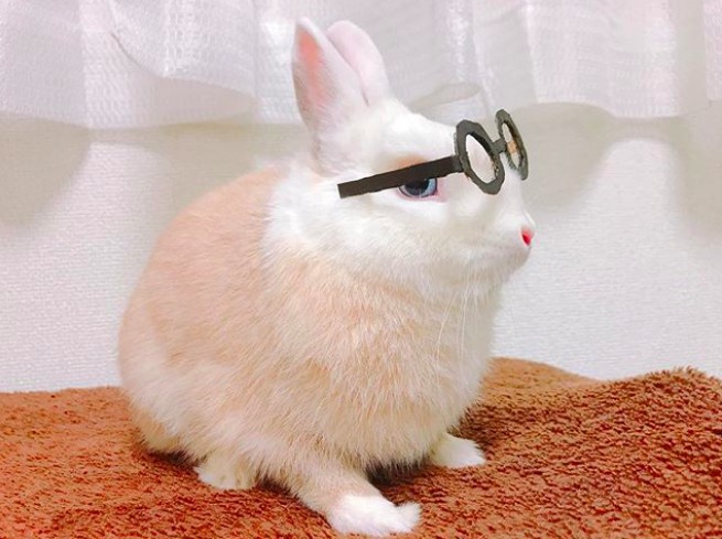 螢幕快照 2018-05-28 下午6.51.44