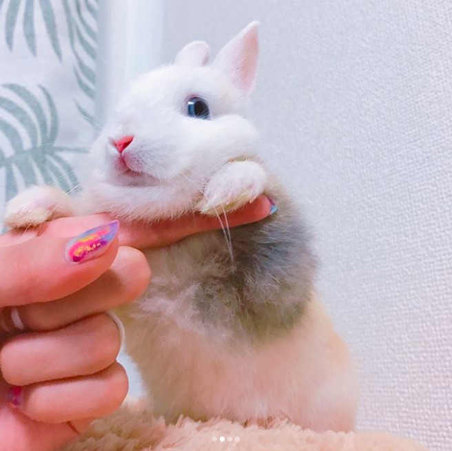 螢幕快照 2018-05-28 下午6.55.56