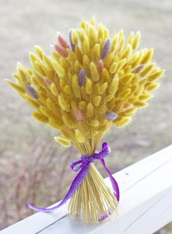 010573ce88c1553a59c36dcd0fb65592