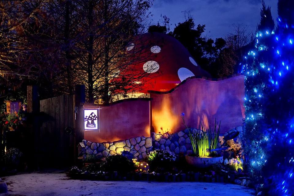 18485847_1312335735481573_1129088388734352681_n