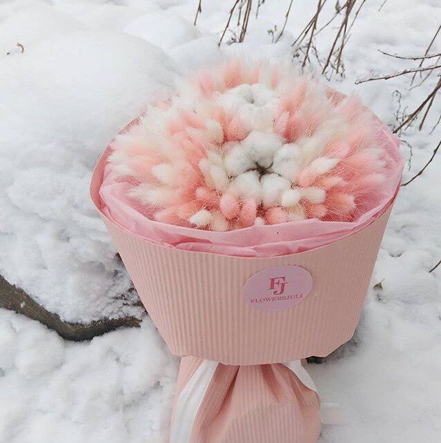 1c661966eec60e0b29399a76936eff63