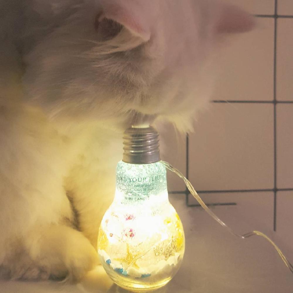 20180508174618__238248832954568942986732112306525815963648n