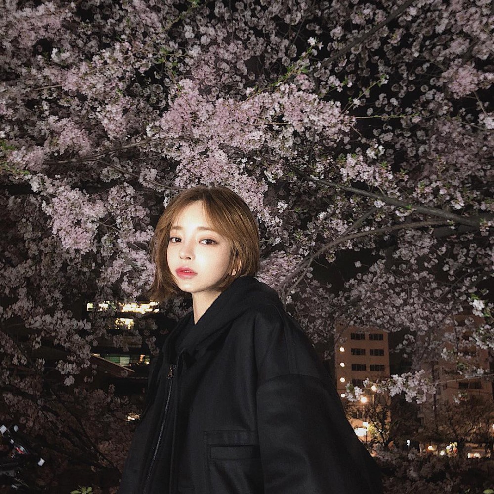 29403300_1743281155734534_2110112785370185728_n