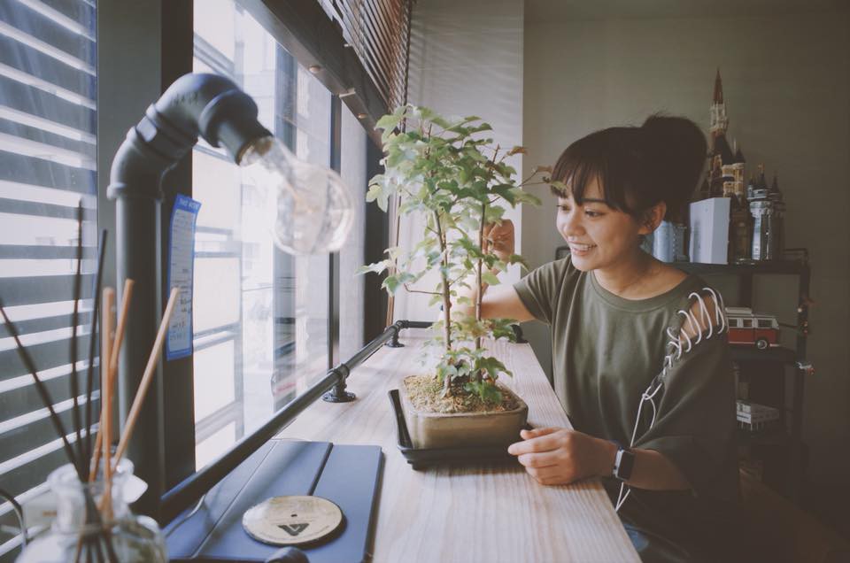 31947176_2069056016675458_2223224825034309632_n