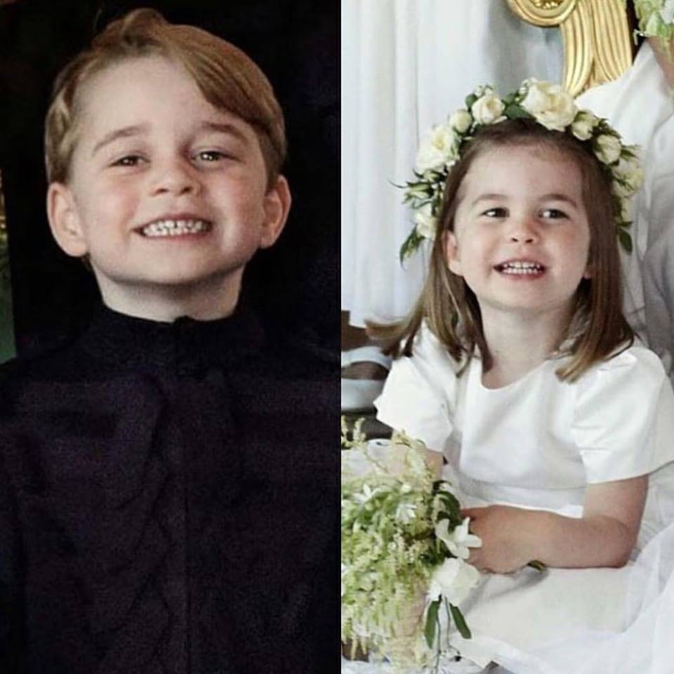 33059039_1834479920187181_2792005952474185728_n