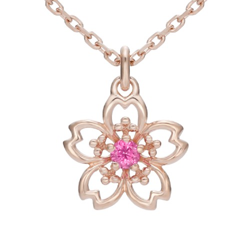 NCS-100-K10PG-m-03-pl