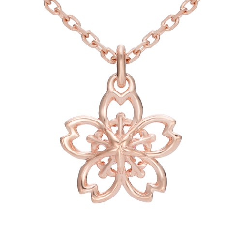 NCS-100-SV950-m-04-pl