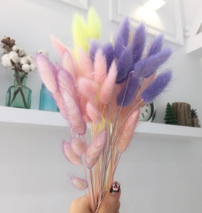 Screen-Shot-2016-12-21-at-3.31.05-PM