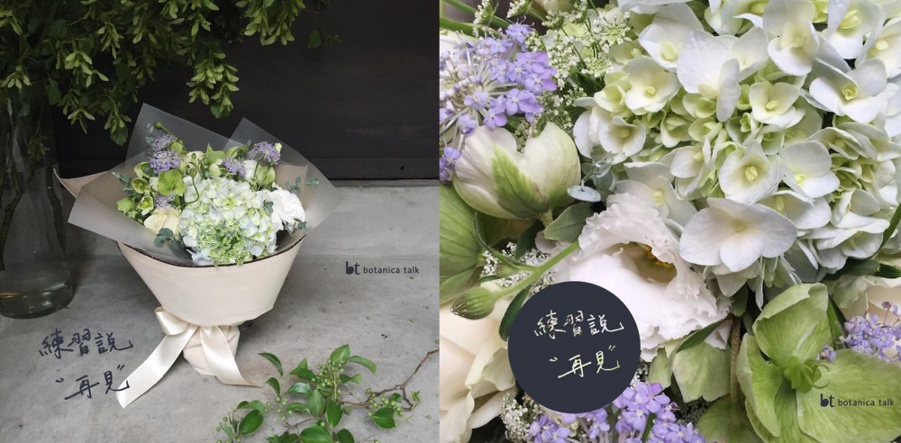 柏藤華漾 botanica1