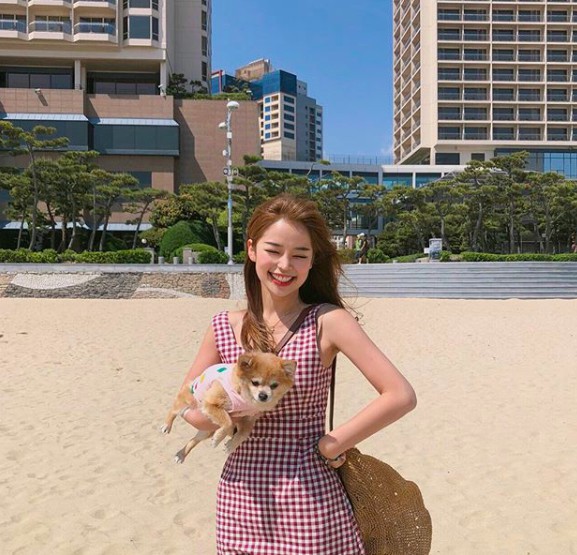 螢幕快照 2018-06-01 下午3.21.39