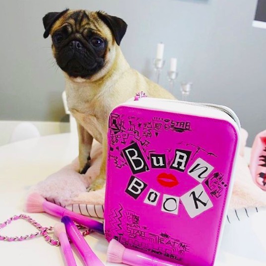 螢幕快照 2018-06-04 上午11.41.30