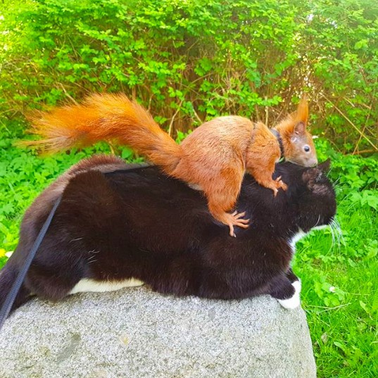 螢幕快照 2018-06-13 下午12.08.31