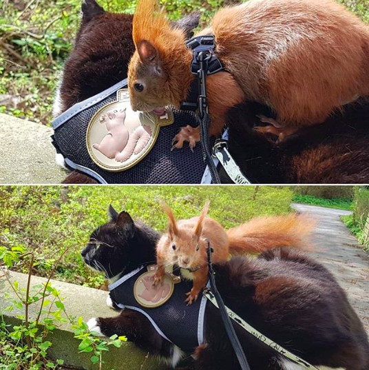 螢幕快照 2018-06-13 下午12.12.35