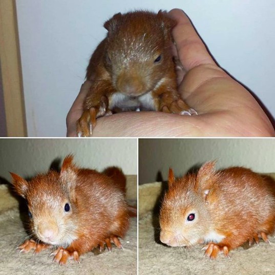 螢幕快照 2018-06-13 下午12.14.11