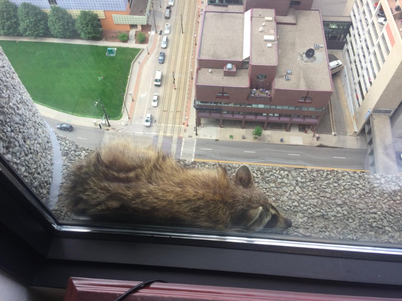 螢幕快照 2018-06-14 上午10.40.24