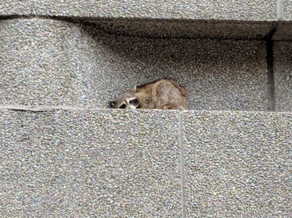 螢幕快照 2018-06-14 上午11.14.03