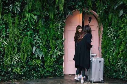 螢幕快照 2018-06-22 上午10.56.50