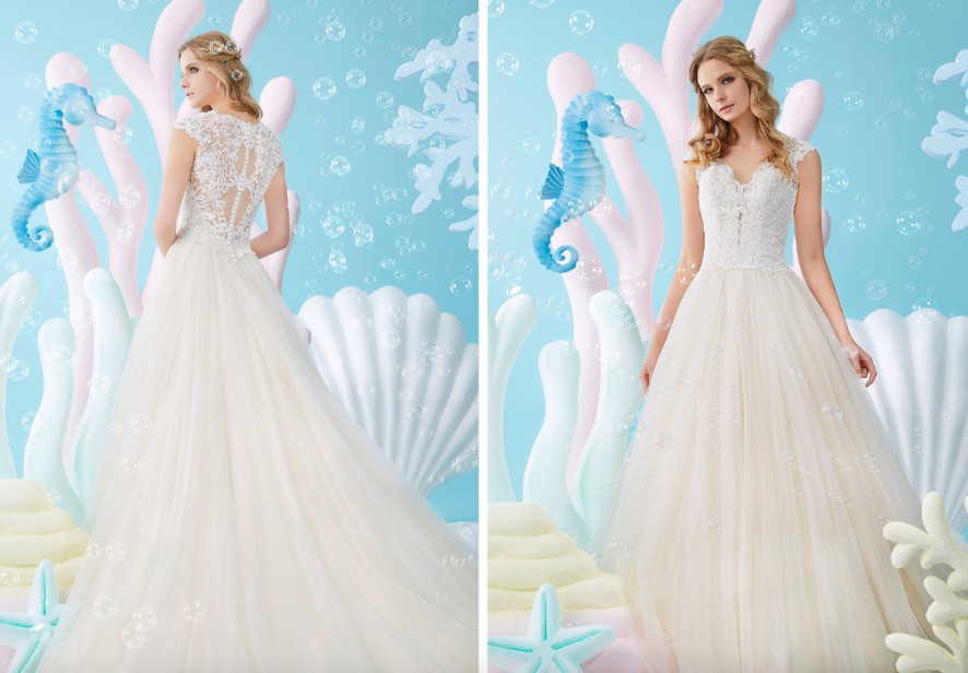 螢幕快照 2018-06-22 上午11.51.58