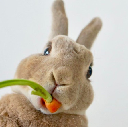 螢幕快照 2018-06-29 上午10.39.02