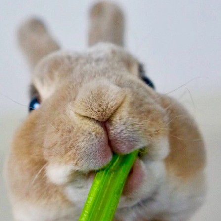 螢幕快照 2018-06-29 上午10.39.33