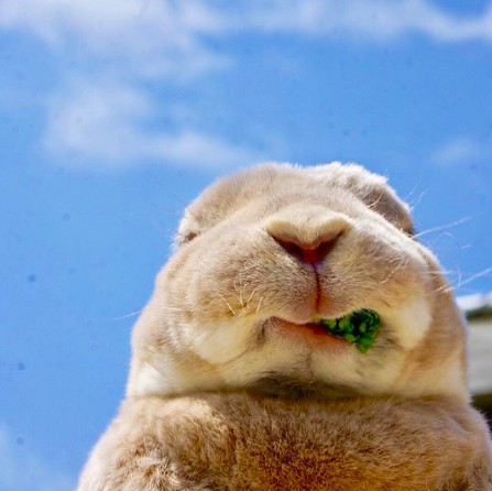 螢幕快照 2018-06-29 上午10.39.51