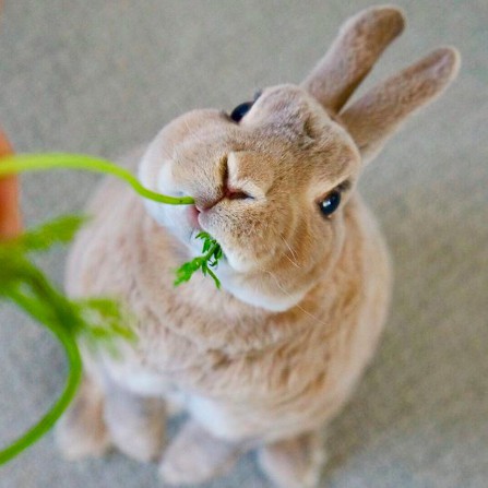 螢幕快照 2018-06-29 上午10.40.01