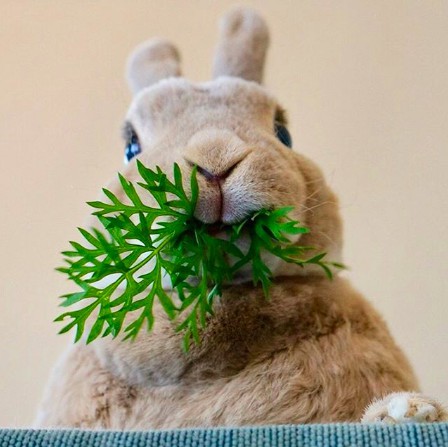 螢幕快照 2018-06-29 上午10.40.10