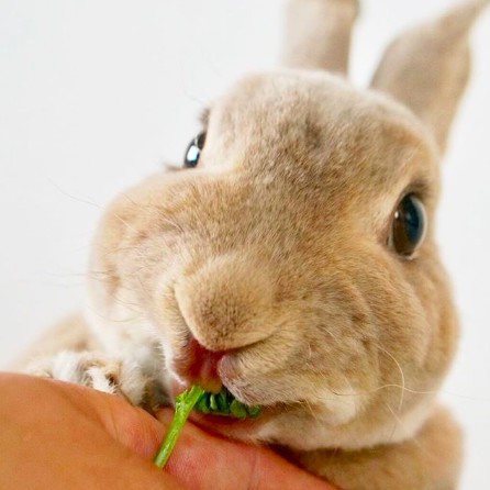 螢幕快照 2018-06-29 上午10.40.44