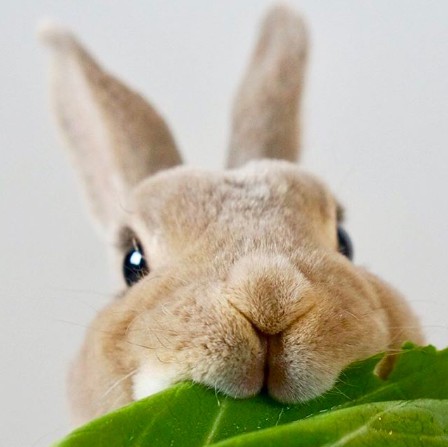 螢幕快照 2018-06-29 上午10.40.50