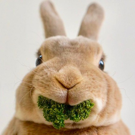 螢幕快照 2018-06-29 上午10.41.47